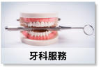 牙科服務